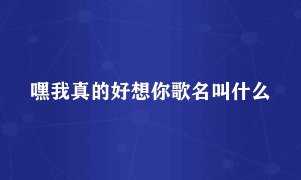 嘿我真的好想你歌名叫什么