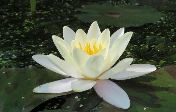 孤独时代