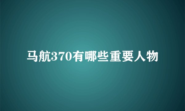 马航370有哪些重要人物