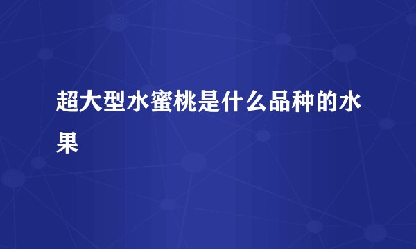 超大型水蜜桃是什么品种的水果
