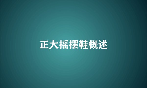 正大摇摆鞋概述
