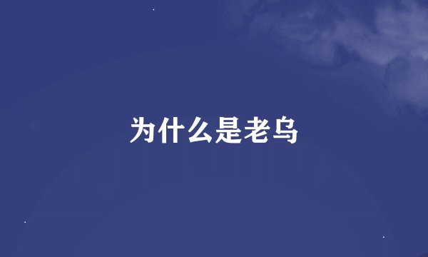 为什么是老乌