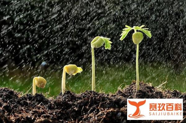 立秋这天,下雨好、还是晴天好?今年收成到底好不好?答案来了