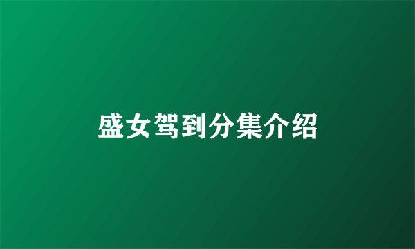 盛女驾到分集介绍