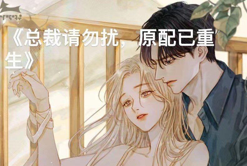 徐妙容纪琛小说名字