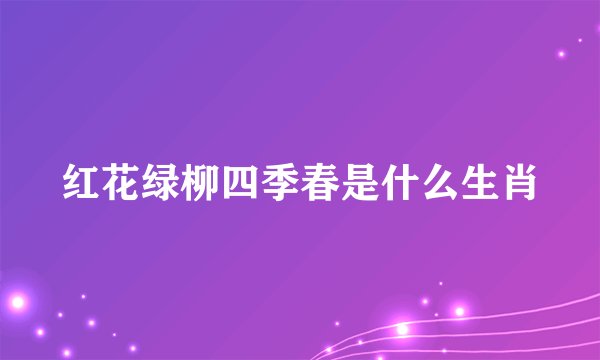 红花绿柳四季春是什么生肖