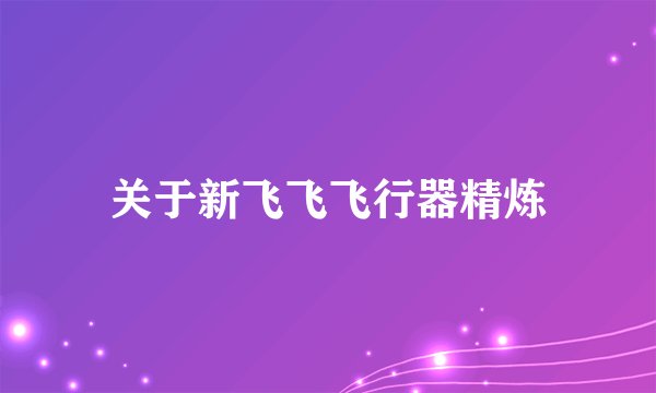 关于新飞飞飞行器精炼