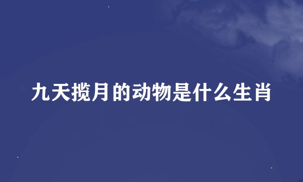 九天揽月的动物是什么生肖