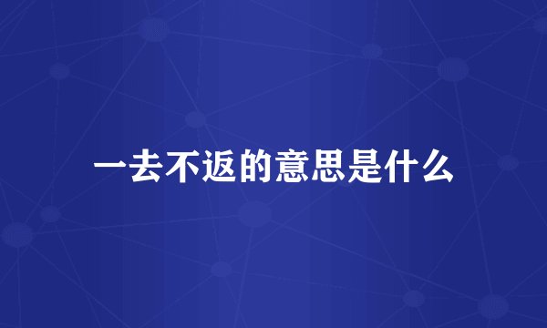 一去不返的意思是什么