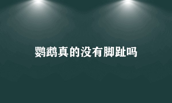 鹦鹉真的没有脚趾吗