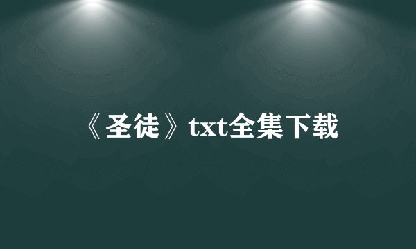 《圣徒》txt全集下载