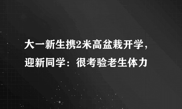 大一新生携2米高盆栽开学，迎新同学：很考验老生体力
