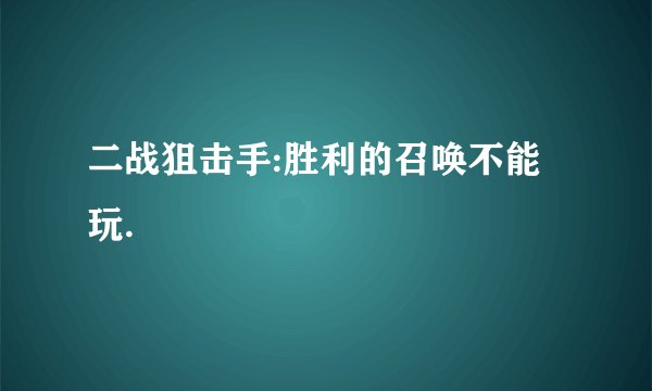 二战狙击手:胜利的召唤不能玩.
