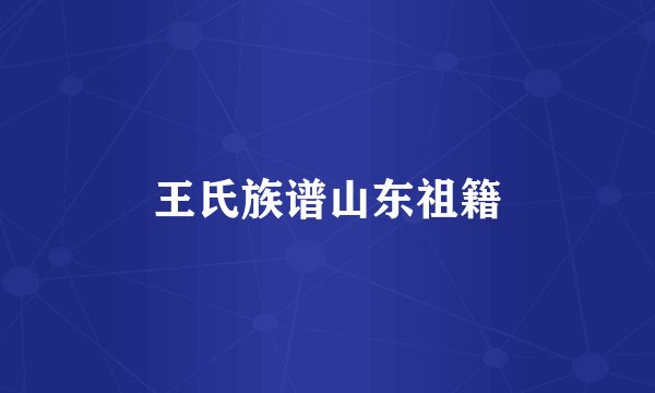王氏族谱山东祖籍