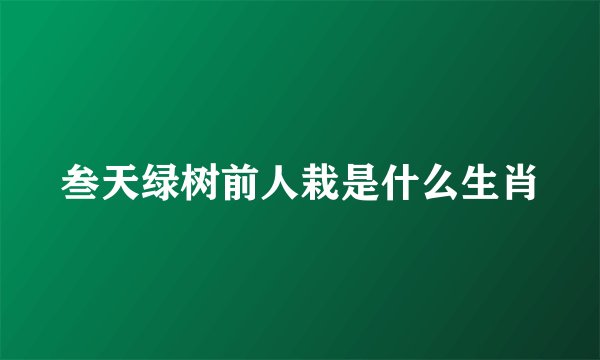 叁天绿树前人栽是什么生肖
