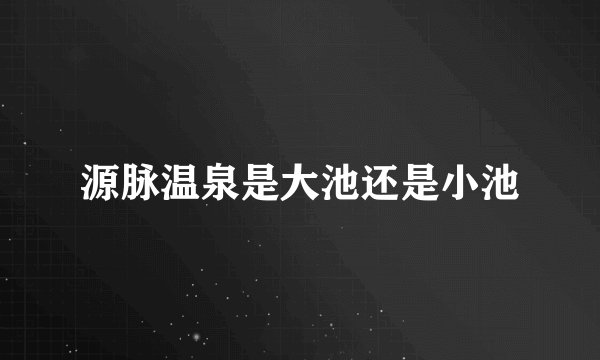 源脉温泉是大池还是小池