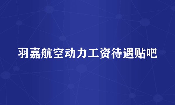 羽嘉航空动力工资待遇贴吧