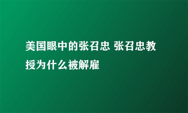 美国眼中的张召忠 张召忠教授为什么被解雇