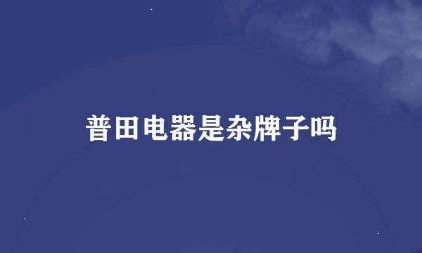 普田电器是杂牌子吗