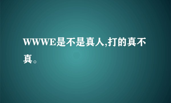WWWE是不是真人,打的真不真。