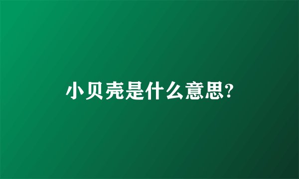 小贝壳是什么意思?