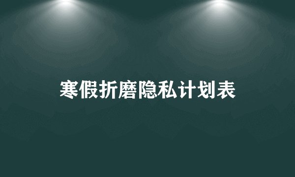 寒假折磨隐私计划表