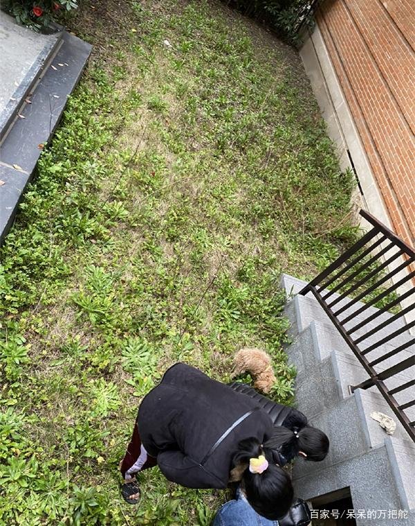杨颖晒出豪宅种菜照片，却因一个细节被指摆拍痕迹明显，她是又要翻车吗？