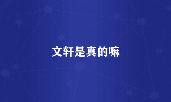 文轩是真的嘛