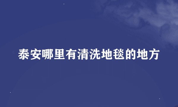 泰安哪里有清洗地毯的地方
