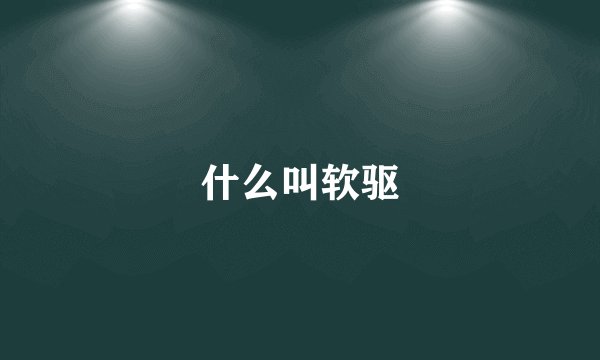什么叫软驱