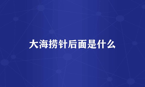 大海捞针后面是什么
