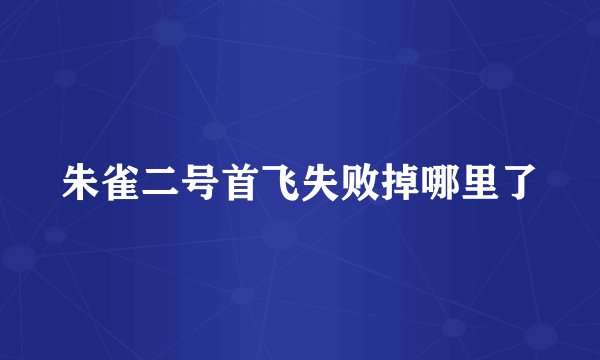 朱雀二号首飞失败掉哪里了