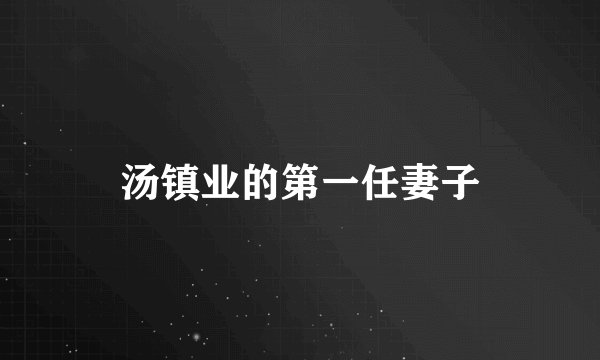 汤镇业的第一任妻子