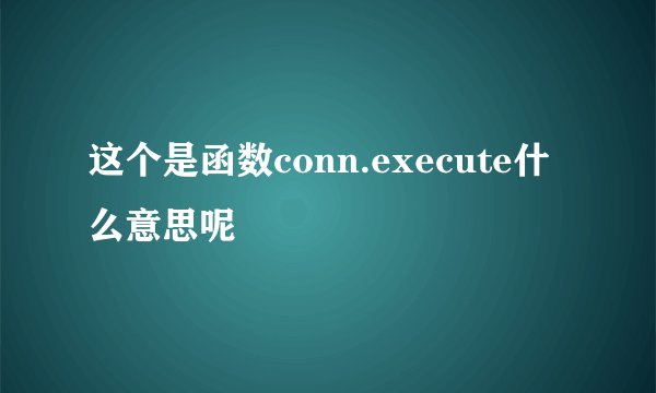 这个是函数conn.execute什么意思呢