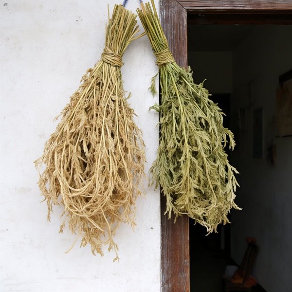艾草是挂在出门的左边还是进门的左边