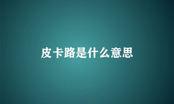 皮卡路是什么意思
