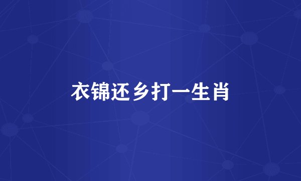 衣锦还乡打一生肖