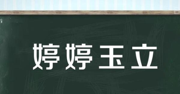 婷婷玉立是什么意思 婷婷玉立的解释意思