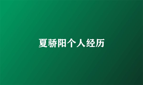 夏骄阳个人经历