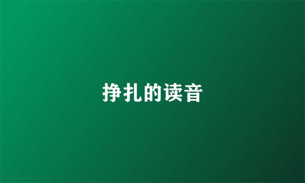 挣扎的读音