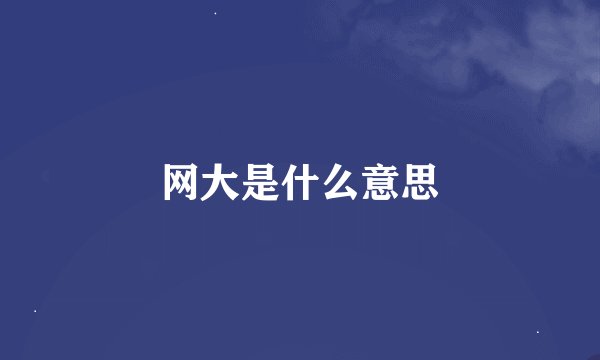 网大是什么意思