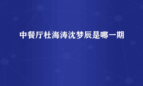 中餐厅杜海涛沈梦辰是哪一期