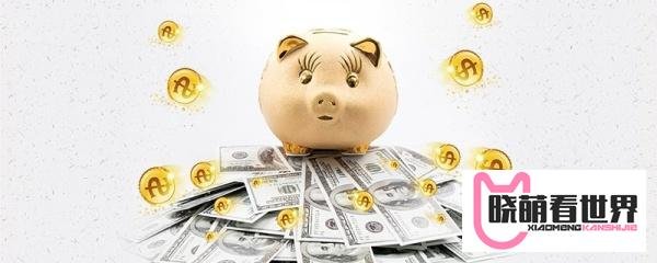 支付宝基金新手怎么买？新手玩基金入门知识！