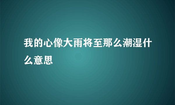 我的心像大雨将至那么潮湿什么意思