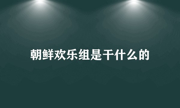 朝鲜欢乐组是干什么的