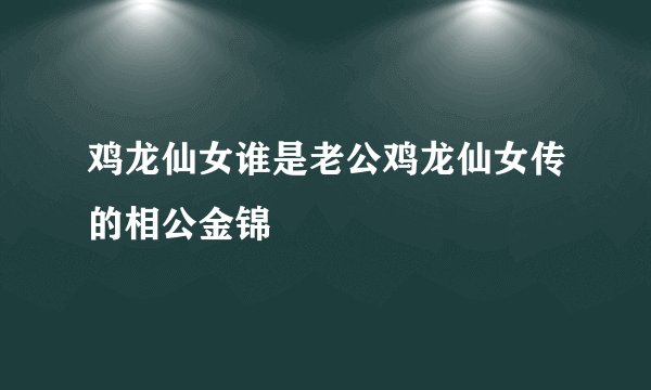鸡龙仙女谁是老公鸡龙仙女传的相公金锦