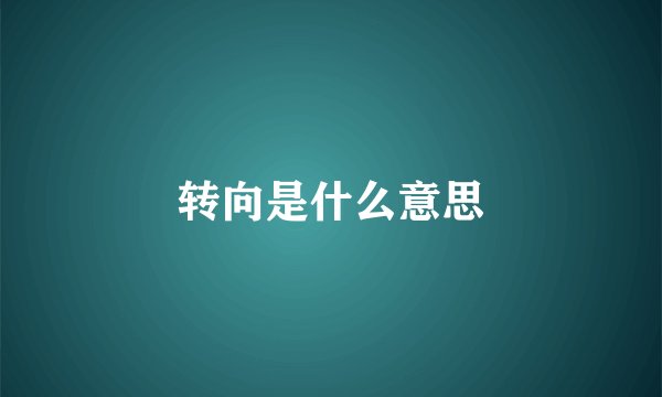 转向是什么意思
