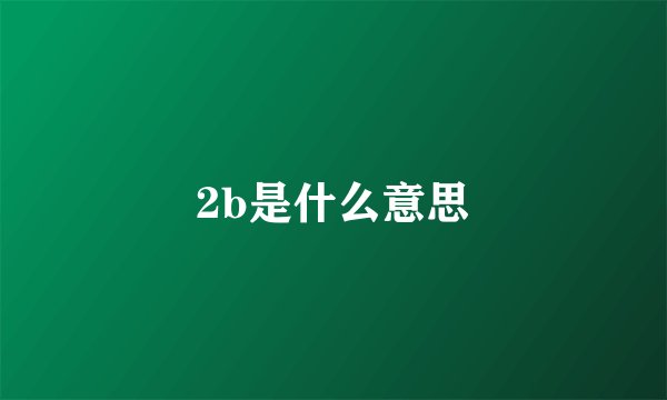 2b是什么意思