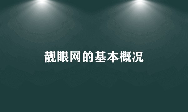 靓眼网的基本概况