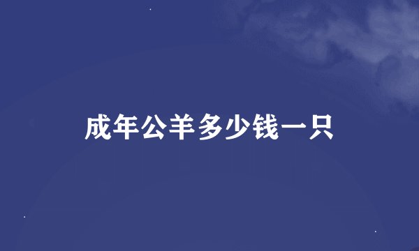 成年公羊多少钱一只